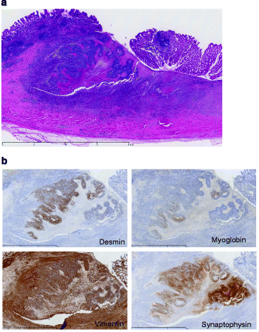 Fig. 2