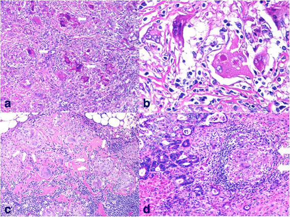 Fig. 5