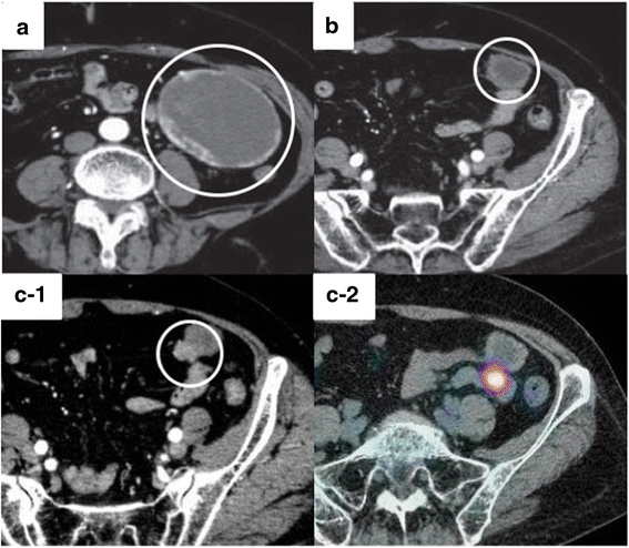 Fig. 3