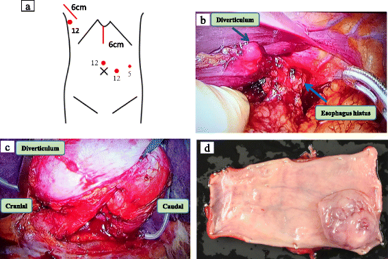 Fig. 3