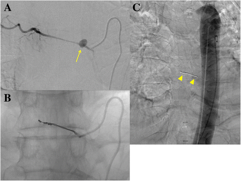 Fig. 5