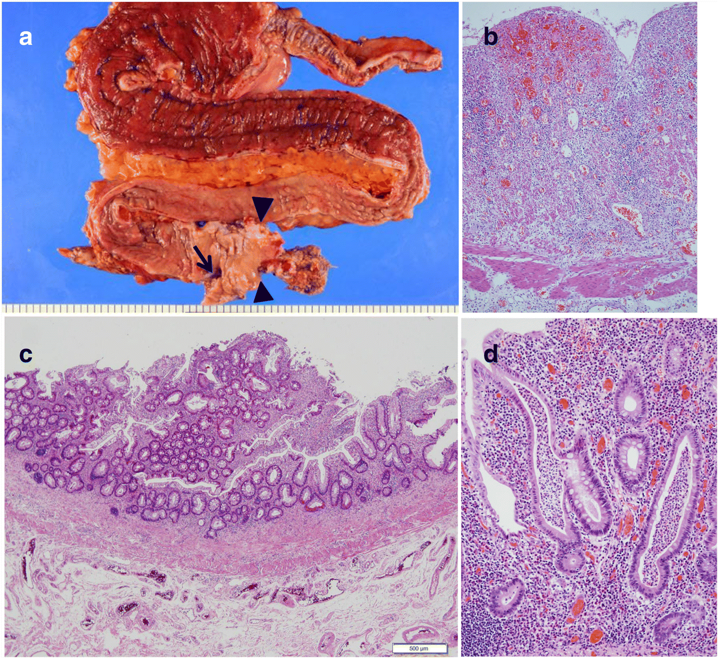 Fig. 3