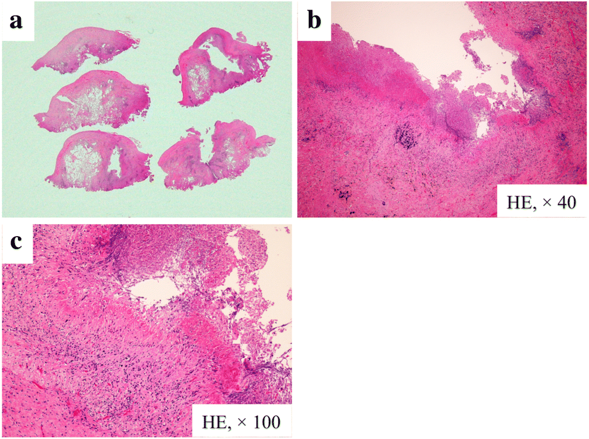 Fig. 5