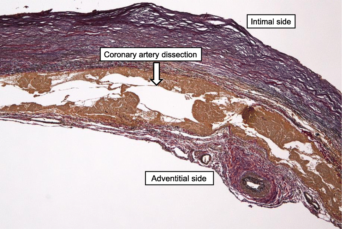 Fig. 5