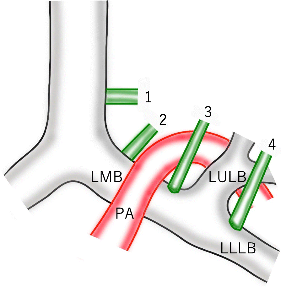 Fig. 5