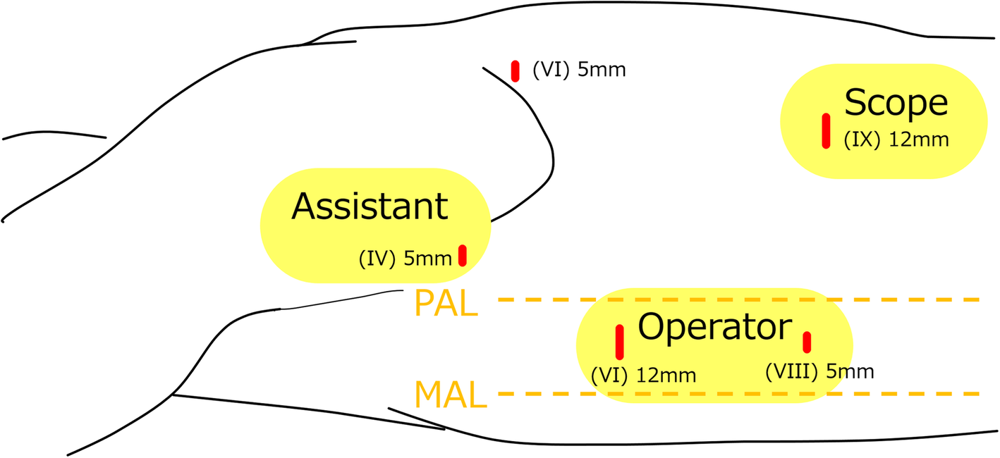 Fig. 5