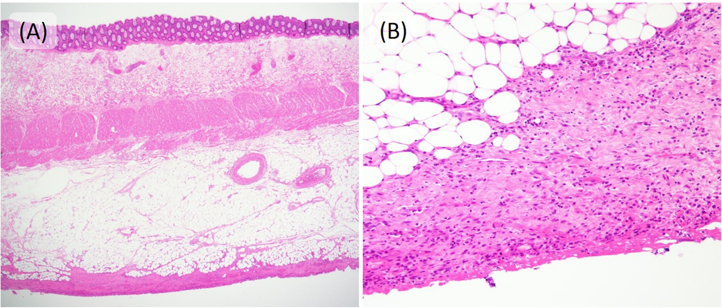 Fig. 5