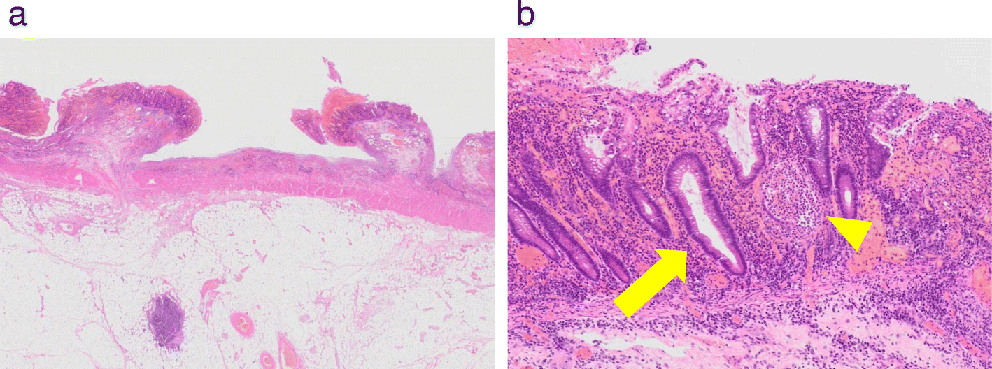 Fig. 7