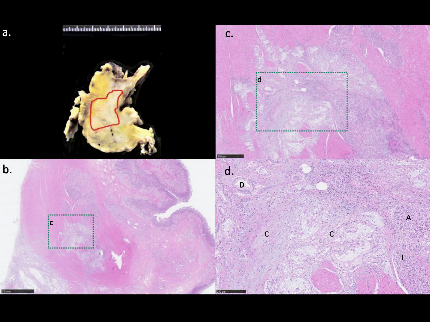 Fig. 7