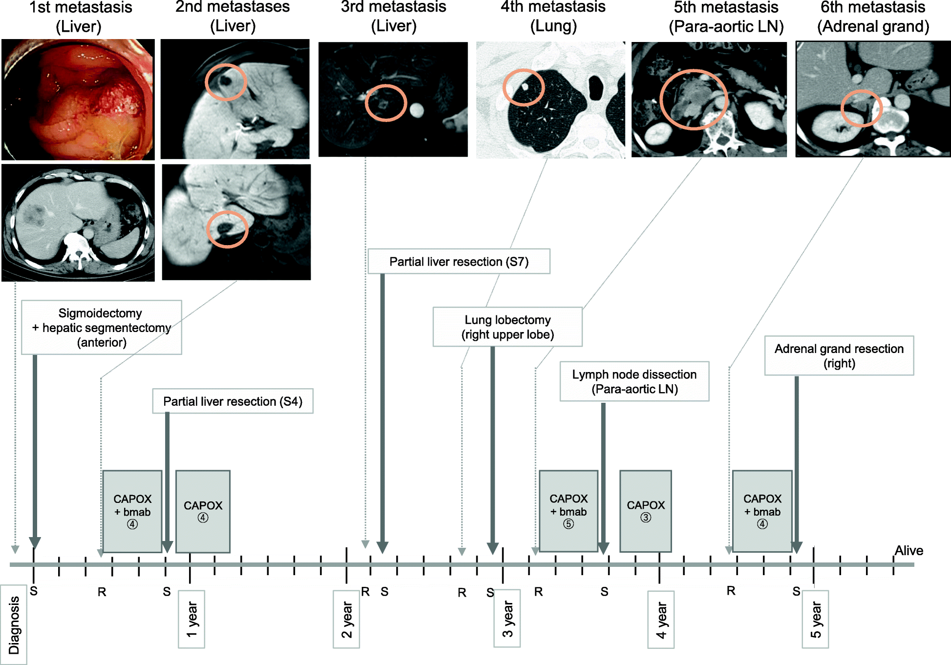 Fig. 2