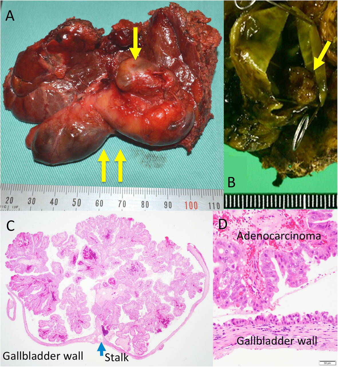 Fig. 8