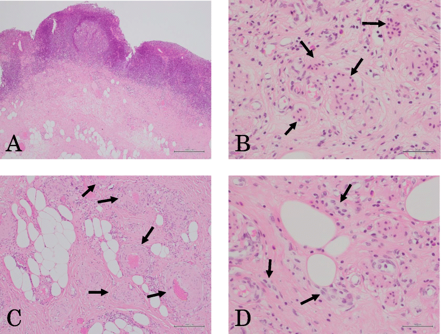 Fig. 6