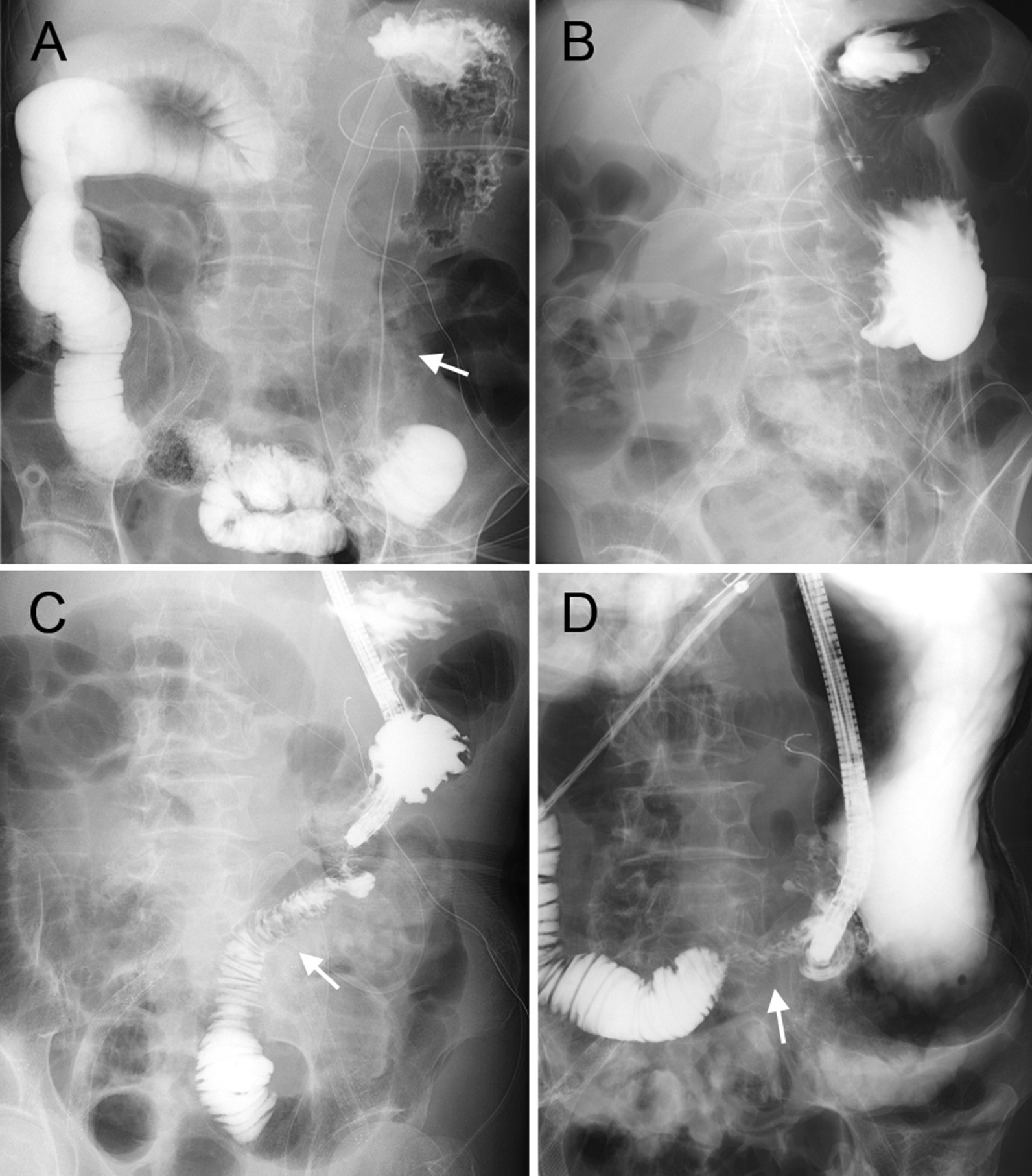 Fig. 3