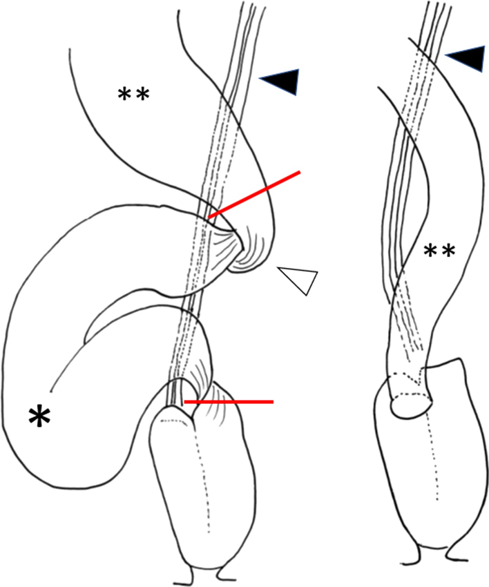 Fig. 9