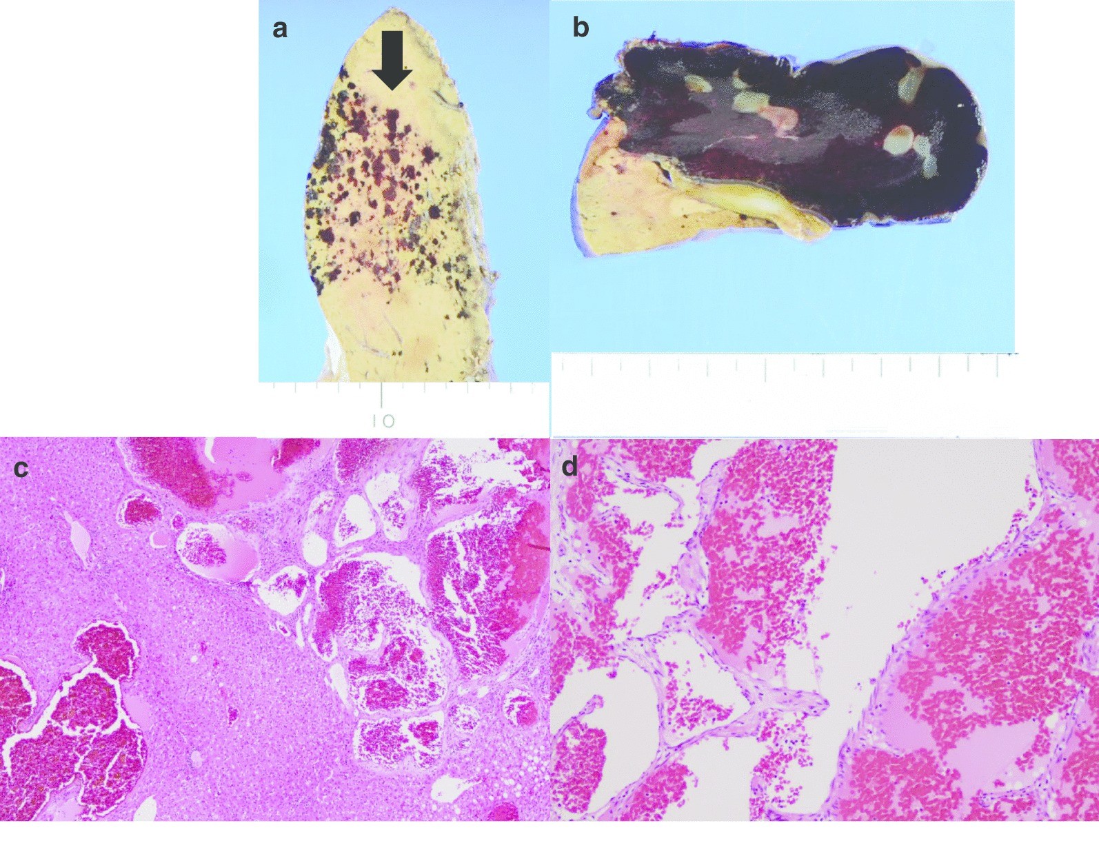 Fig. 5