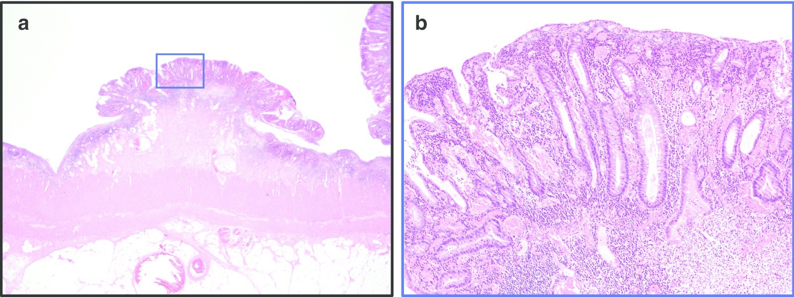 Fig. 7