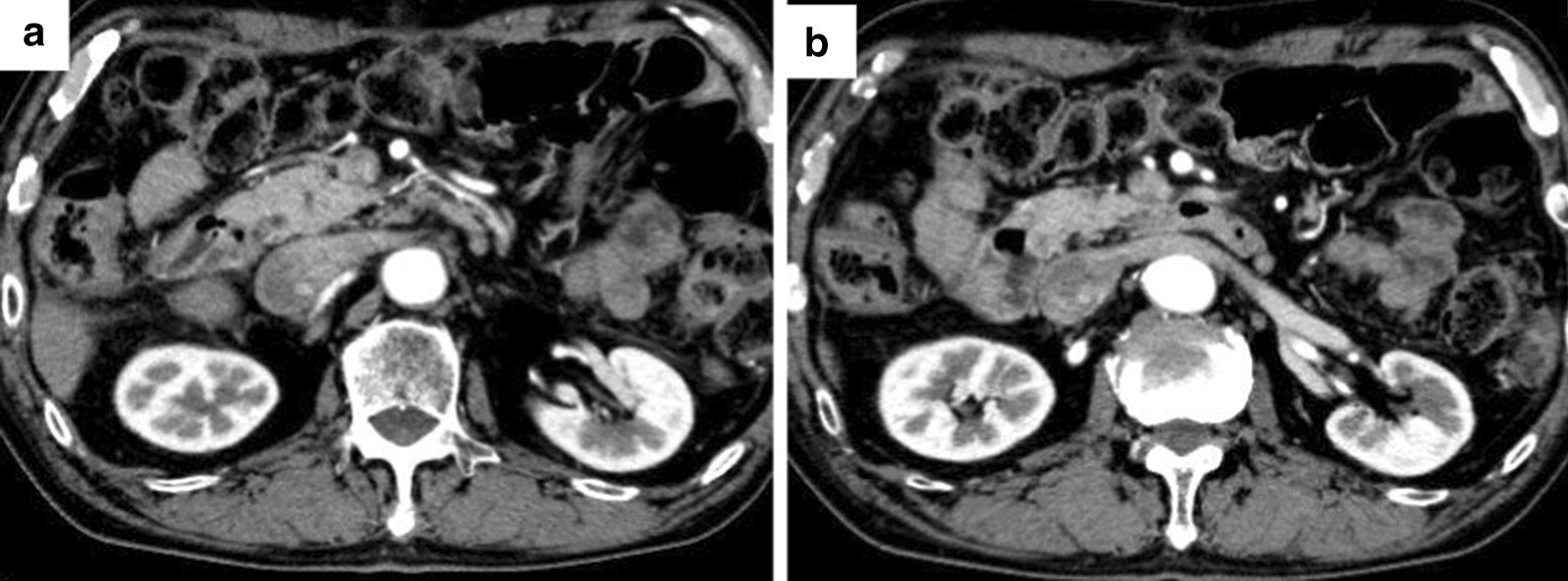 Fig. 5