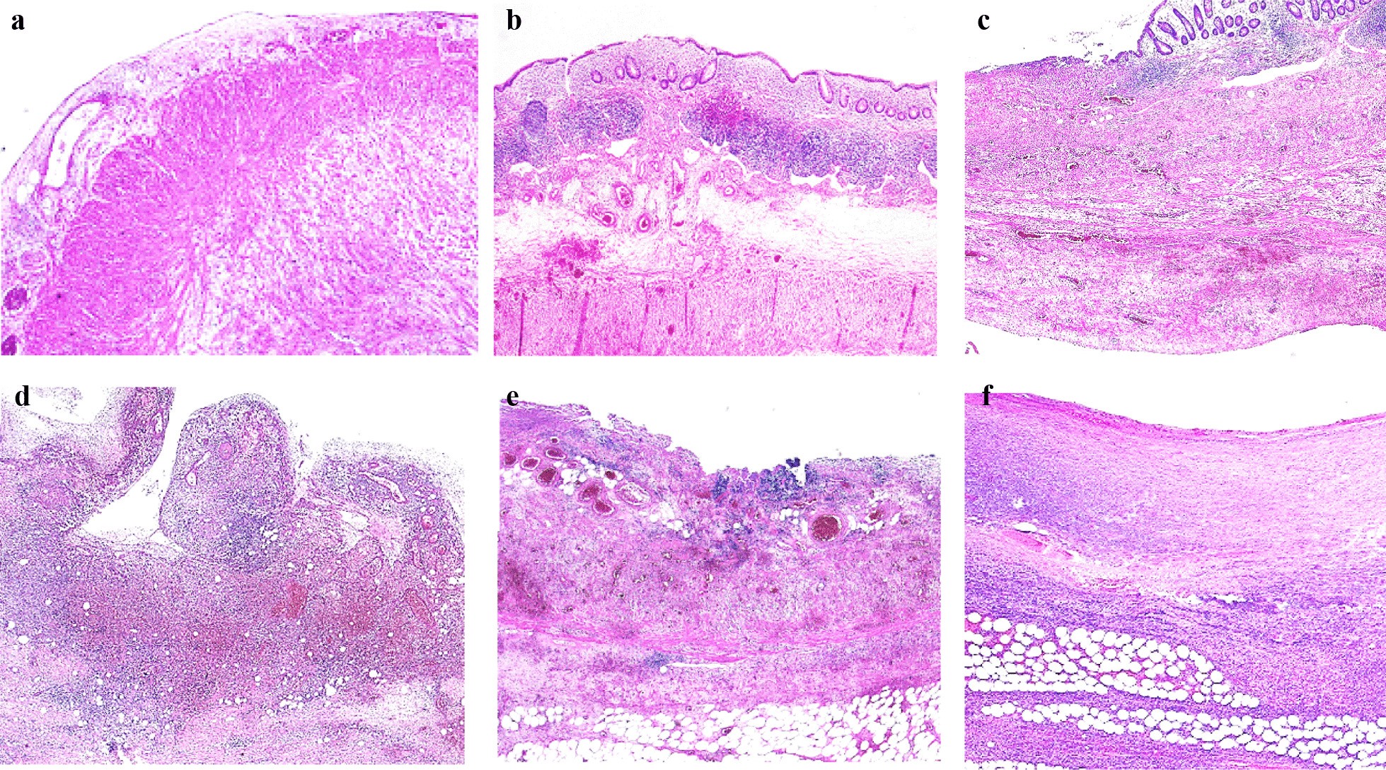 Fig. 3