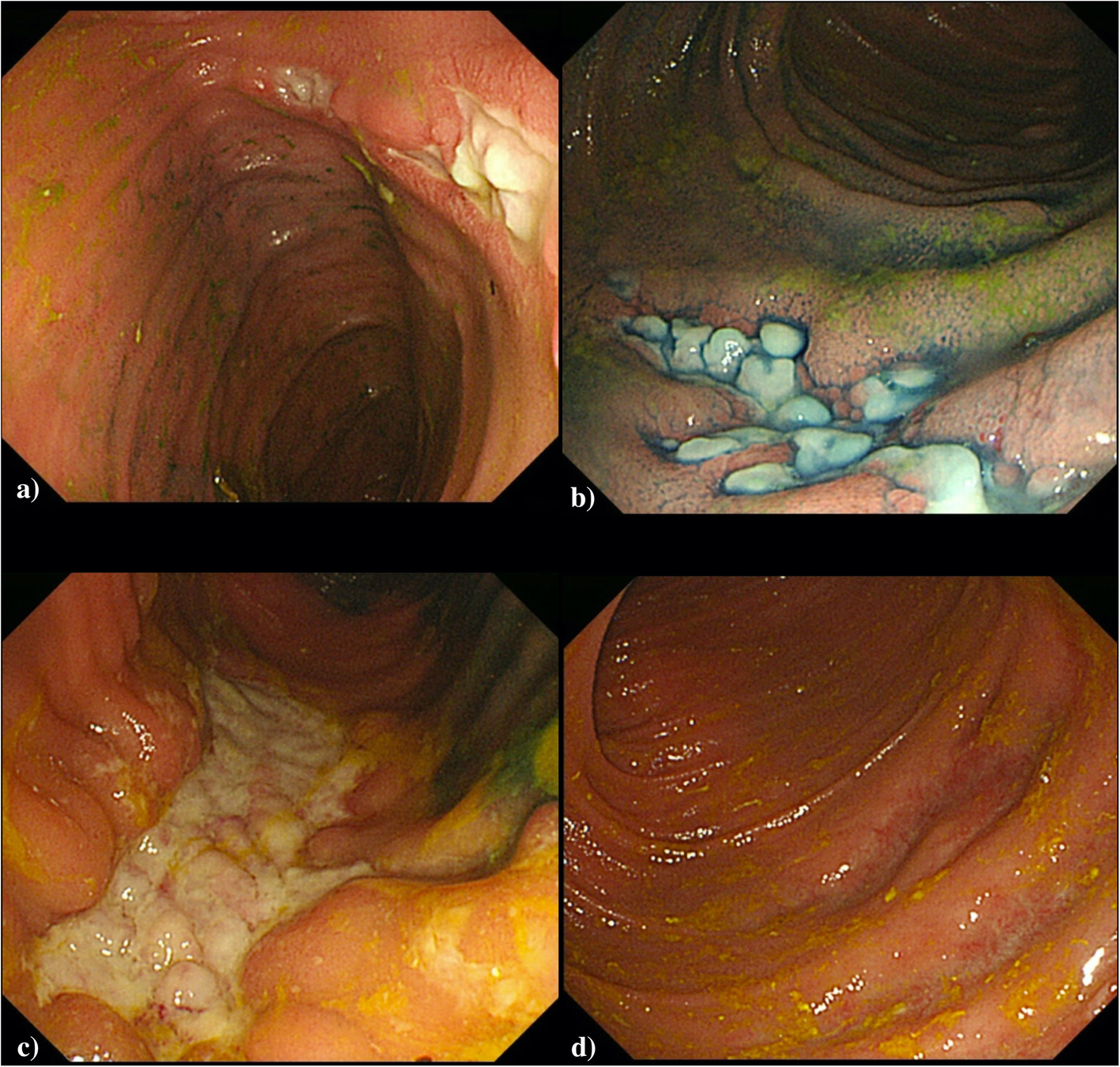 Fig. 8