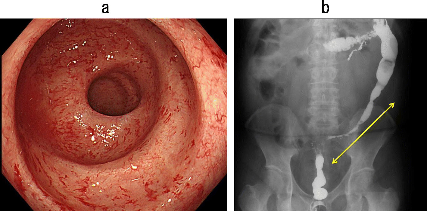 Fig. 7