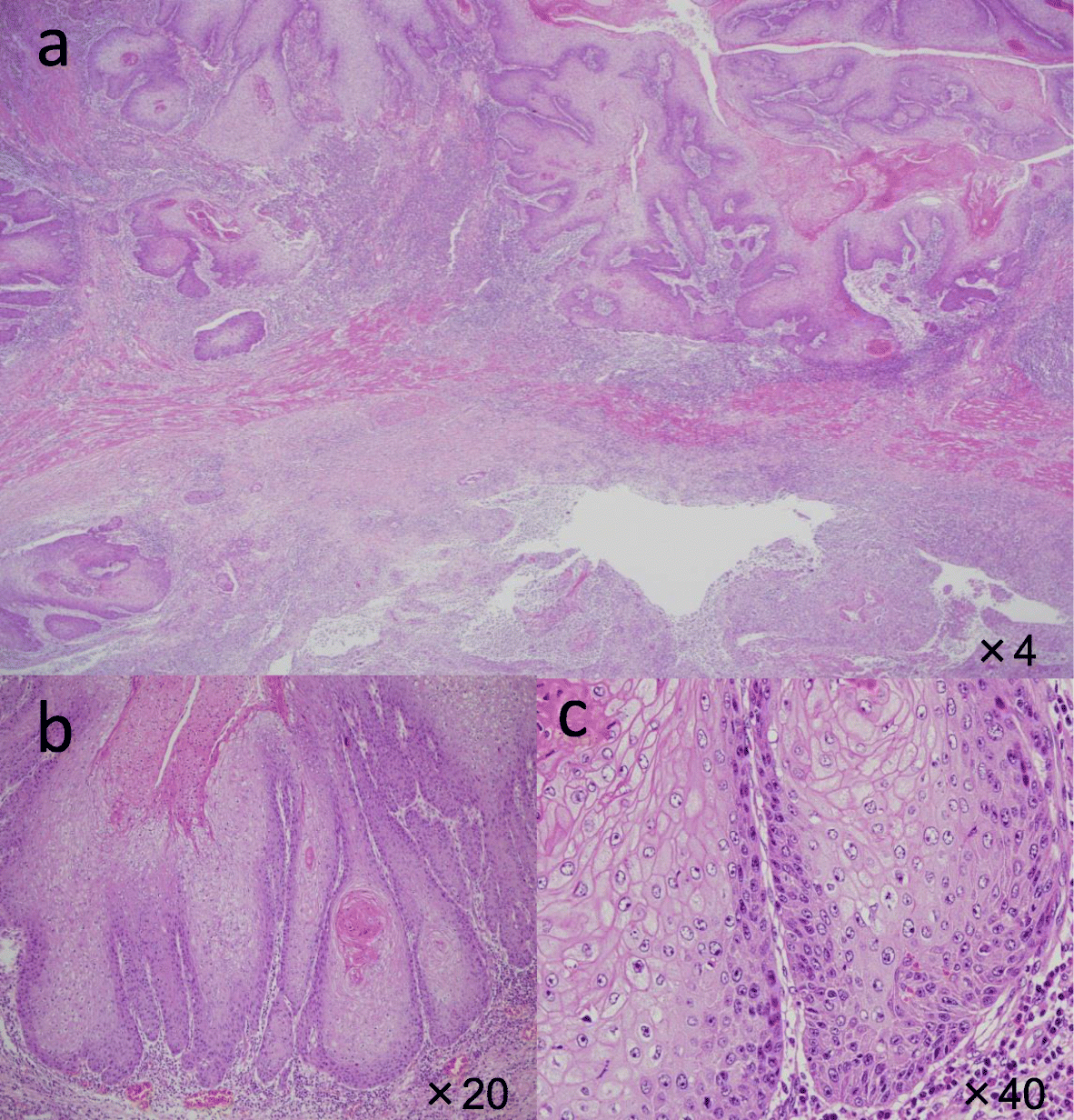 Fig. 7