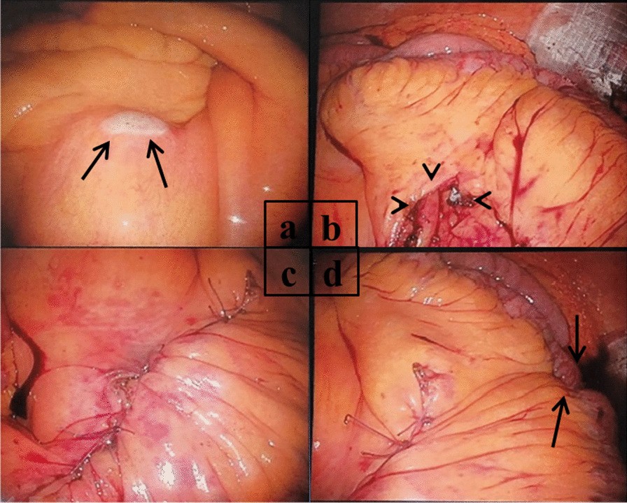 Fig. 8