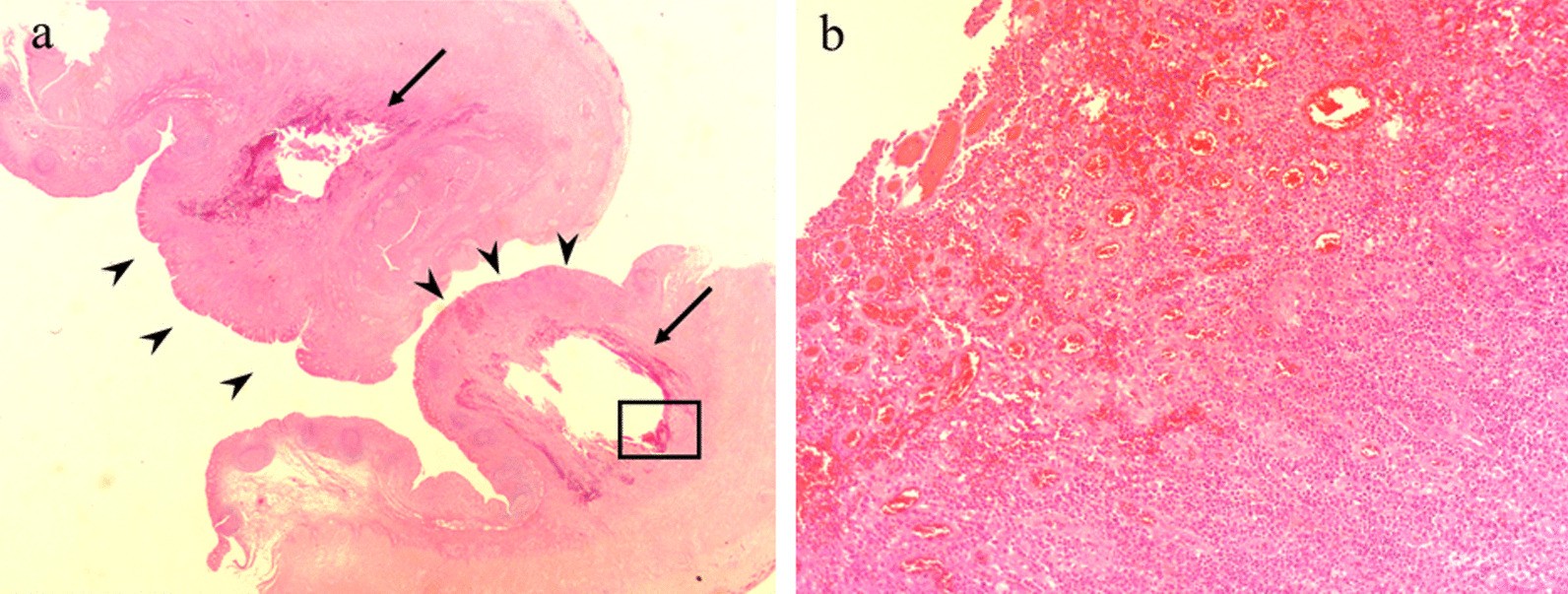 Fig. 4