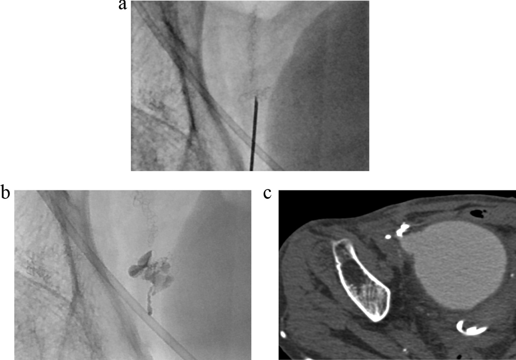 Fig. 5