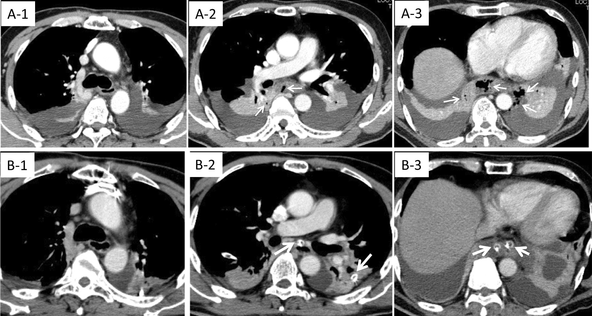 Fig. 5