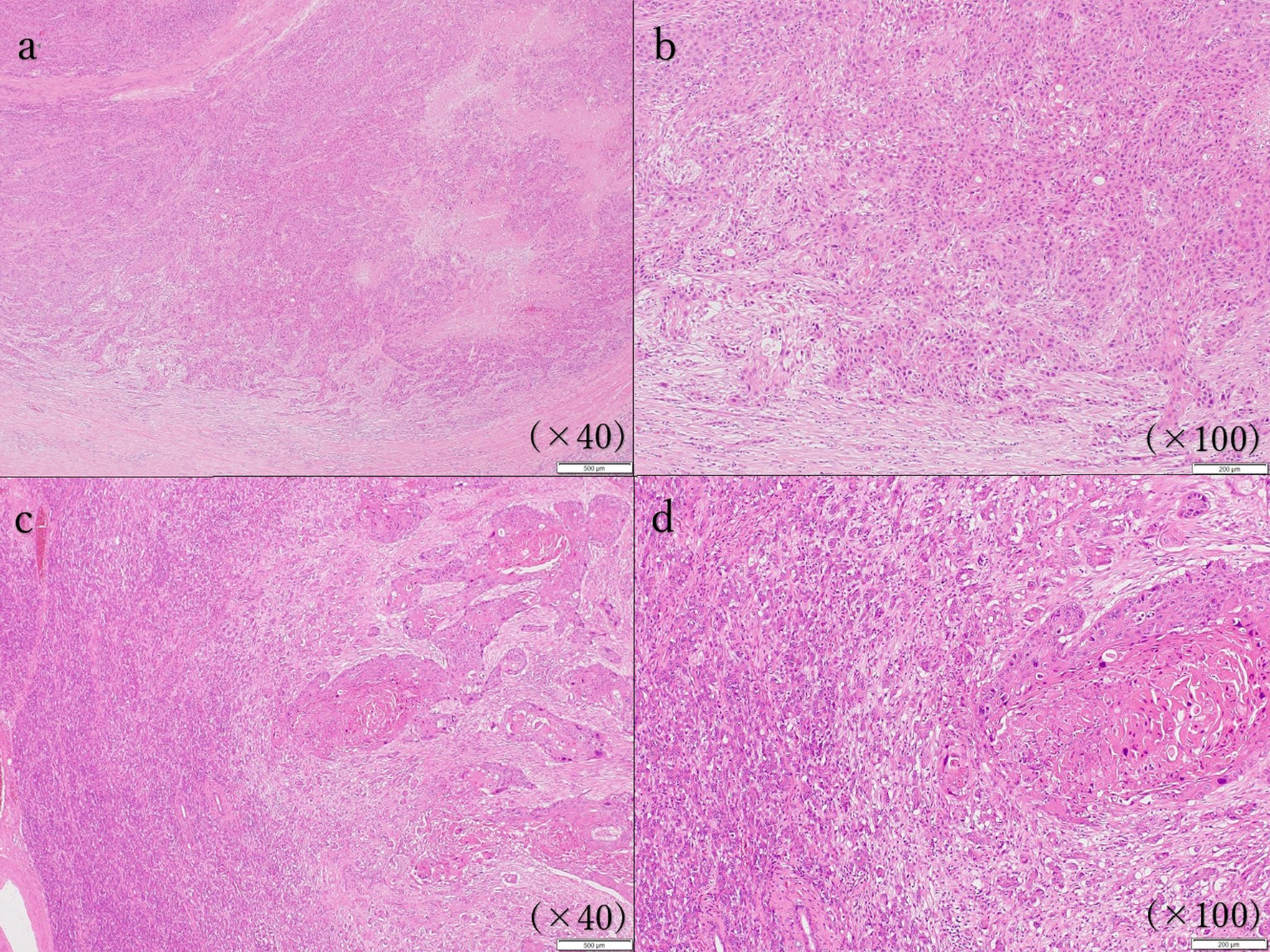 Fig.5