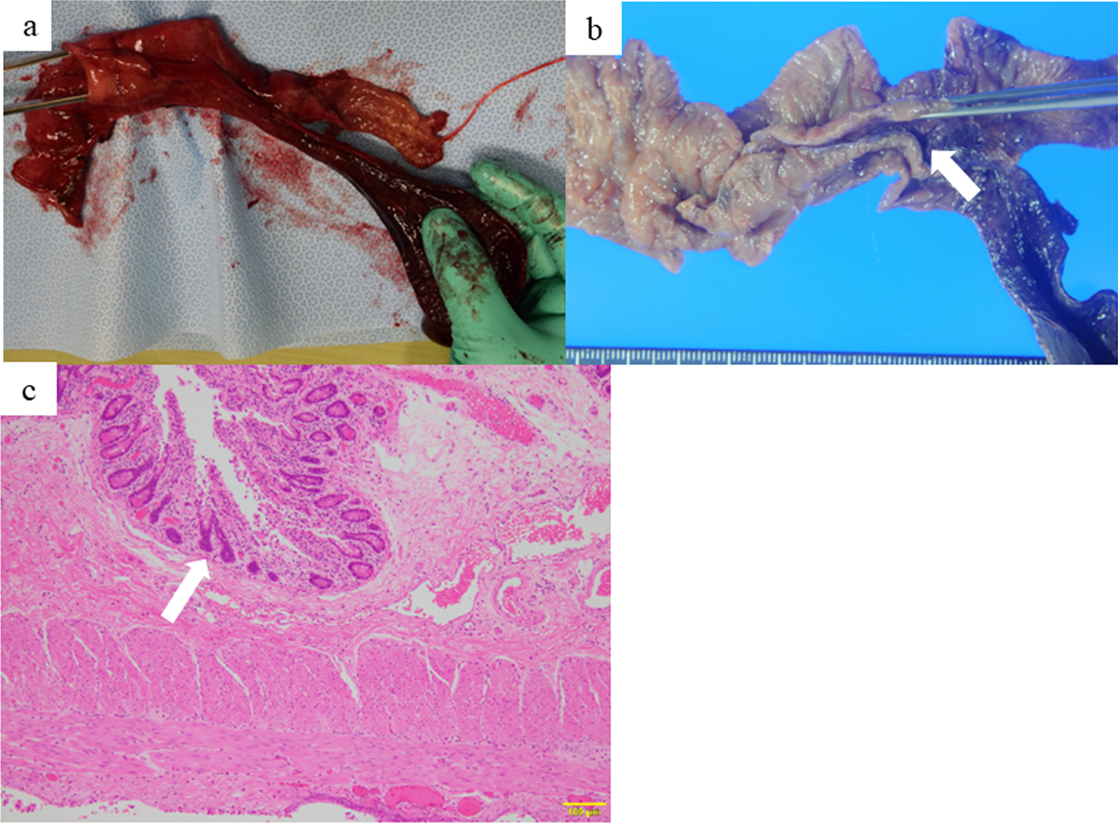 Fig. 3