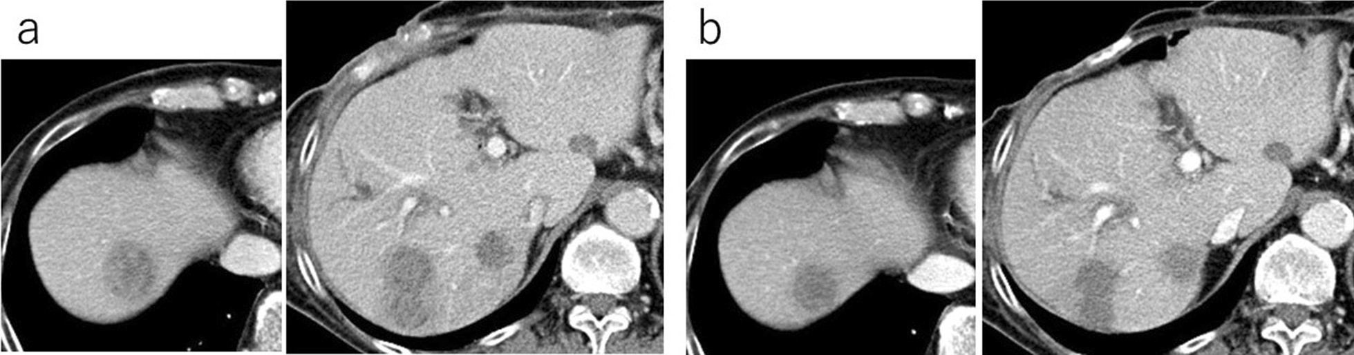 Fig. 5