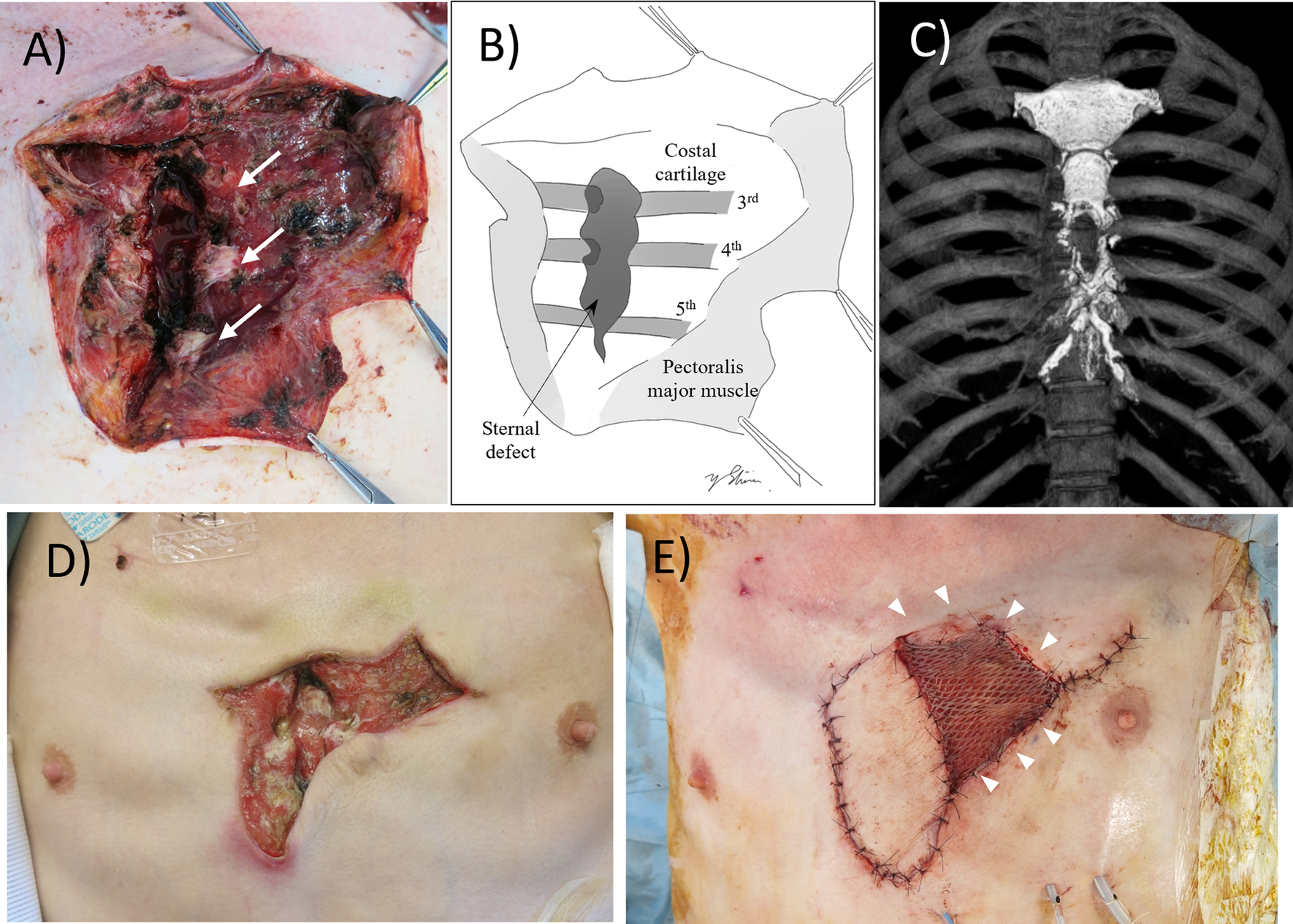 Fig. 3