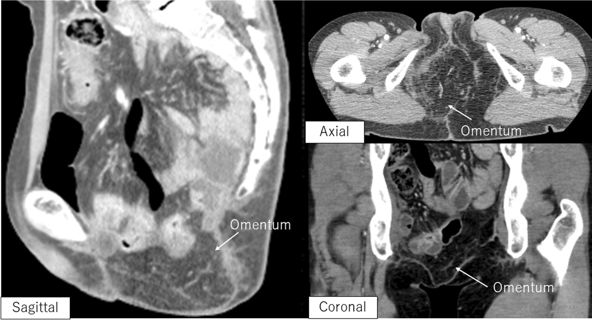 Fig. 5