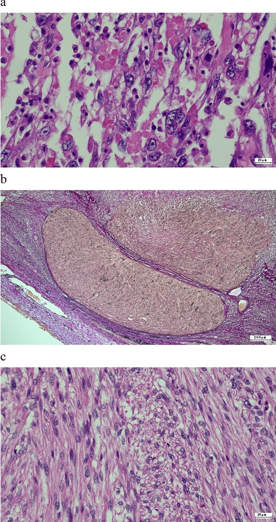 Fig. 5