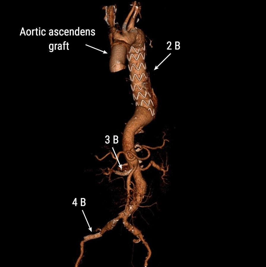 Fig. 5