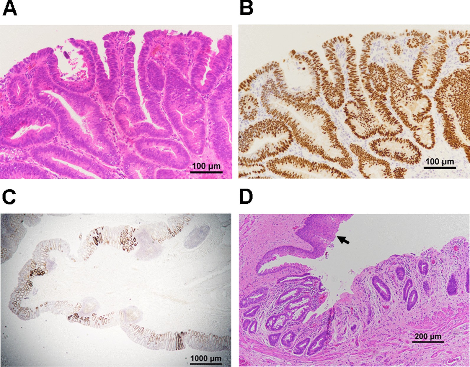 Fig. 3