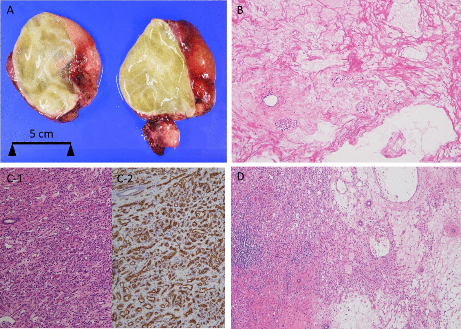 Fig. 3