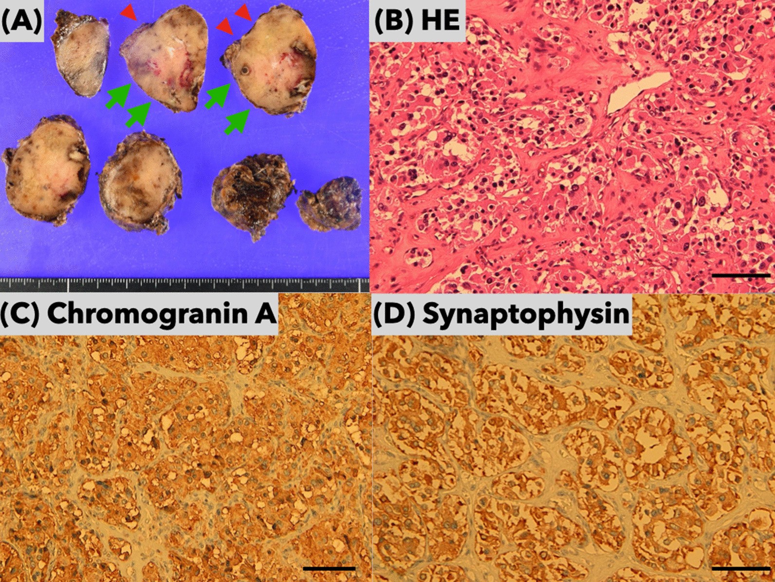 Fig. 6