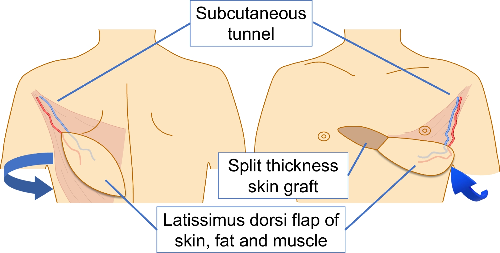 Fig. 7