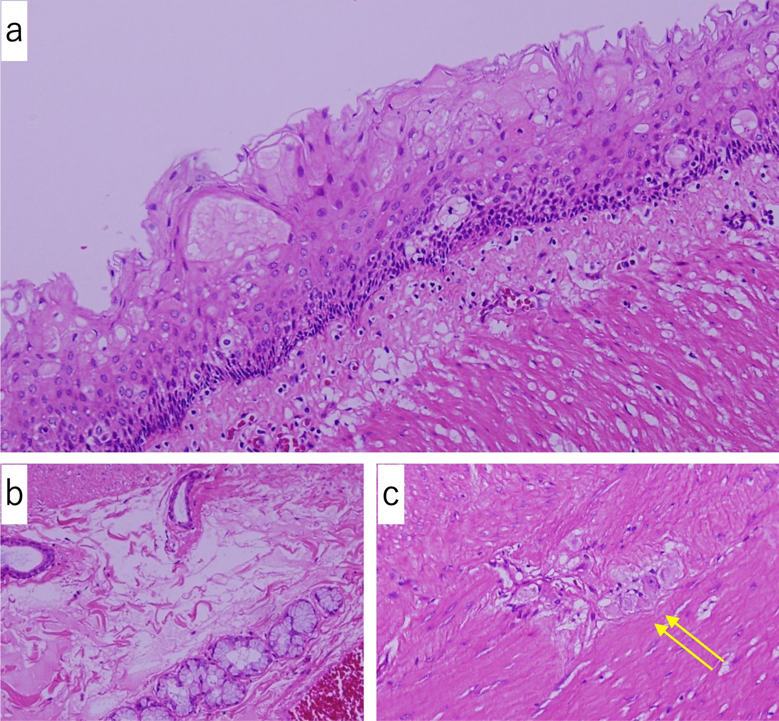 Fig. 5