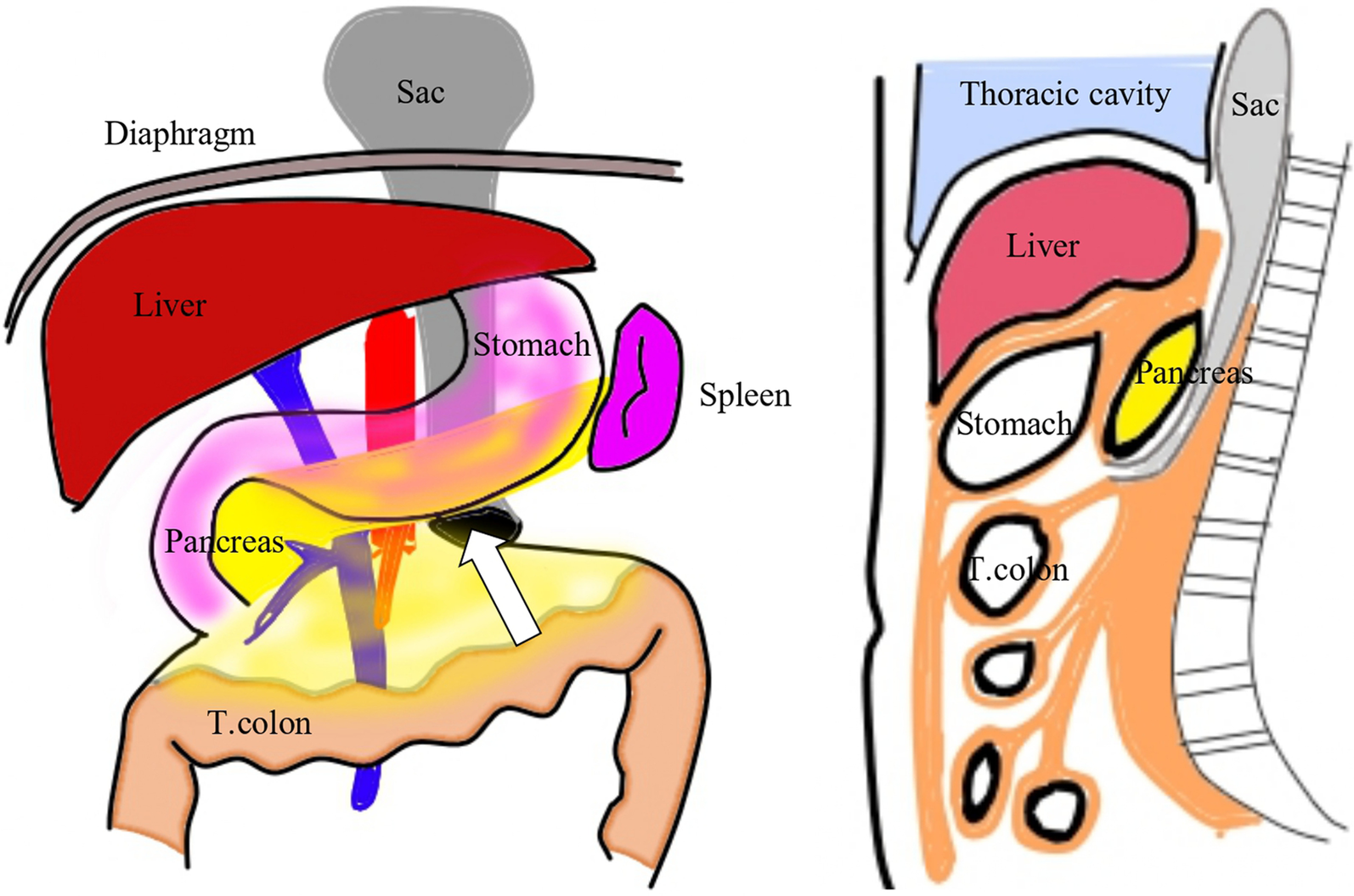 Fig. 7