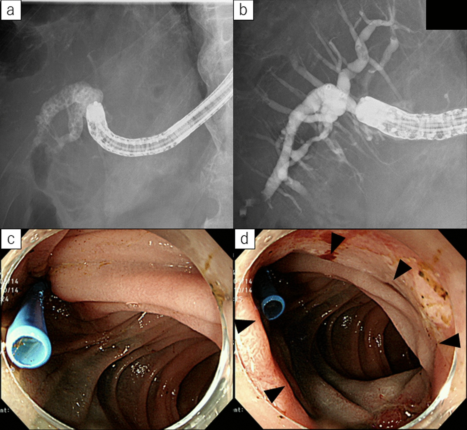 Fig. 3