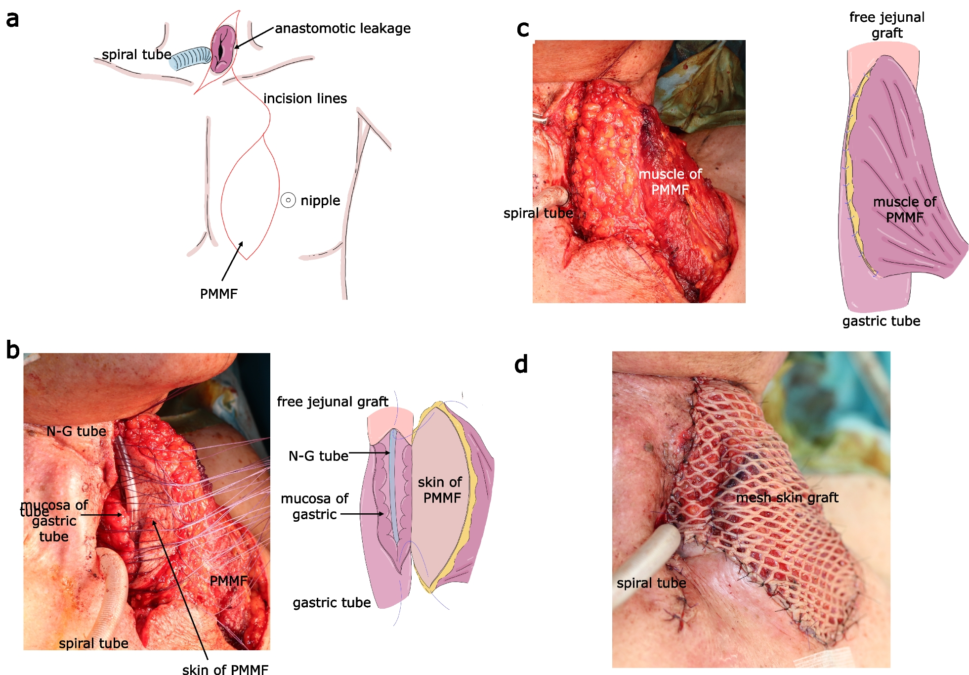 Fig. 4 