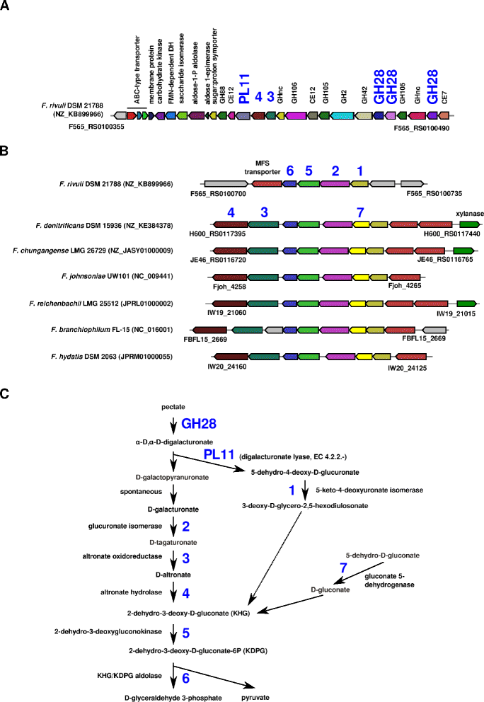 Fig. 7