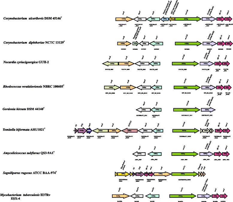 Fig. 7