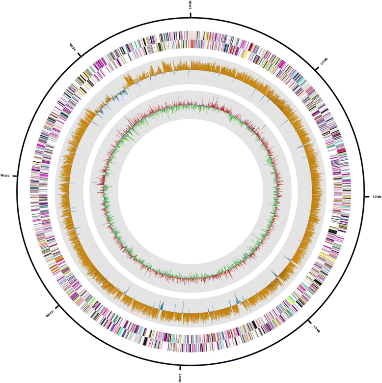 Fig. 3