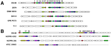 Fig. 4