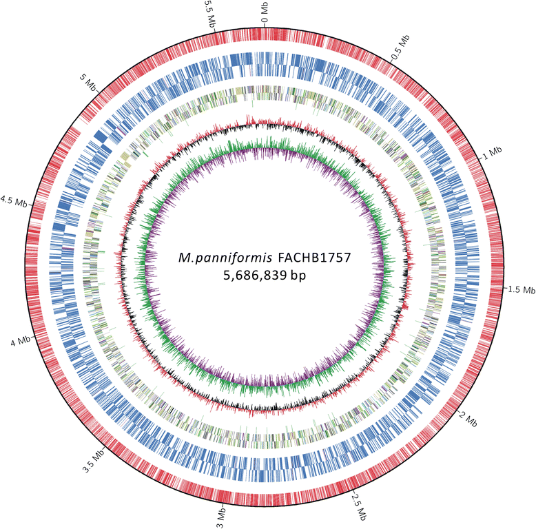 Fig. 4