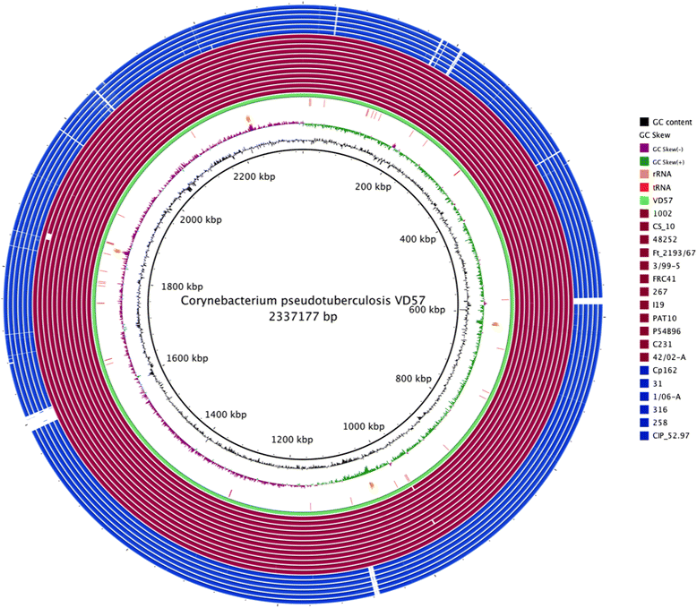 Fig. 2